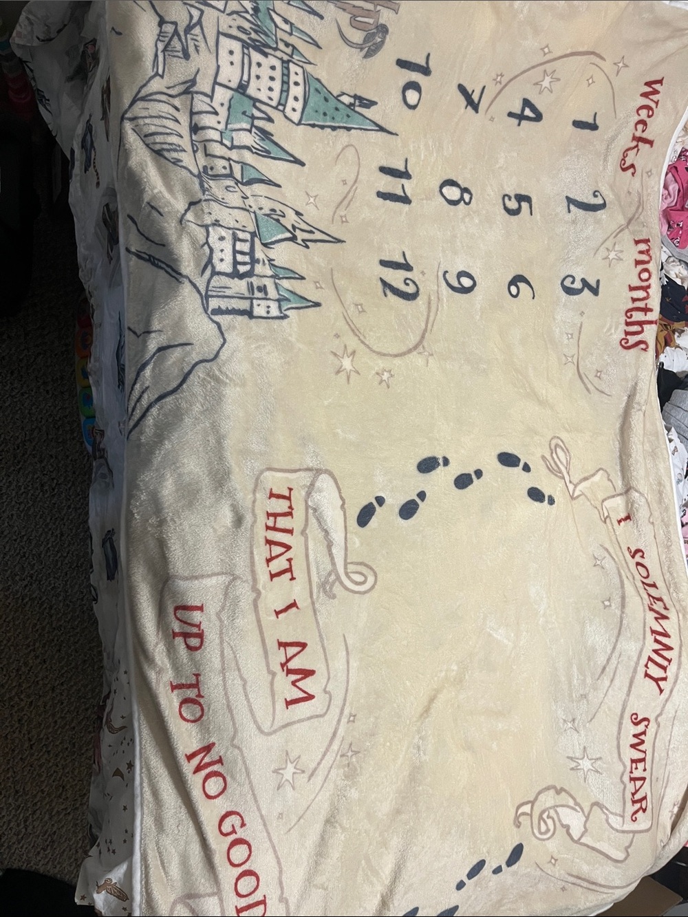 Harry Potter Baby Milestone Blanket - Cream with Teal & Red Accents